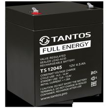 Tantos ✔ Аккумулятор Tantos АКБ 12В 4.5 А∙ч, Ts 12045