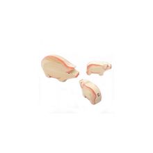 Свиньи, семейство (Лукоморье)