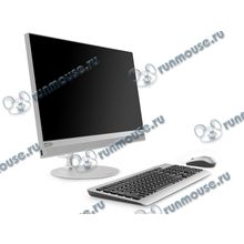 Моноблок Lenovo "ideacentre 520-24IKL" F0D1006LRK (Core i5 7400T-2.40ГГц, 8ГБ, 1000ГБ, R530, DVDRW, LAN, WiFi, BT, WebCam, 23.8" 1920x1080, W&apos;10 H) + клавиатура + мышь [141749]