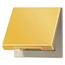 Jung Крышка для розеток и изделий с платой 50х50мм Jung LS 990 золото LS990KLGGO ID - 75462