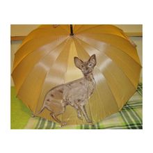 Чудесатые зонтики (домашние питомцы)