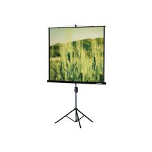 Экран на штативе Lumien Master View 127x127 см Matte White