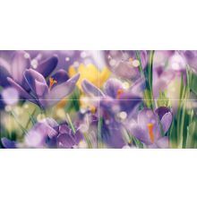 Керамическая плитка Ceramica Classic Crocus P4D286 (из 4 плиток) панно 40х80