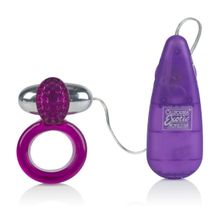 California Exotic Novelties Кольцо на пенис Ring Of Passion (фиолетовый)