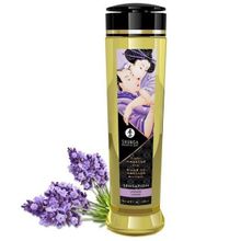 Массажное масло с ароматом лаванды Shunga Sensation Lavender 240мл