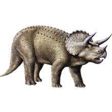 Фаллоимитатор Ceratops - 21,5 см. Черный