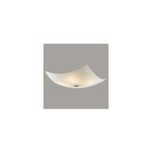 CITILUX  Светильник настенно-потолочный Спирали Citilux CL932012