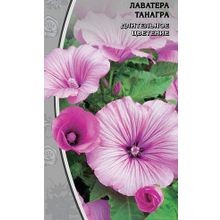 Лаватера  Танагра  0,5 гр