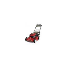 Toro 20332C