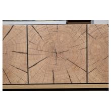 Алмаз. Любимый дом Фиджи Тумба под ТВ 1400 (Дуб Золотой Антрацит)