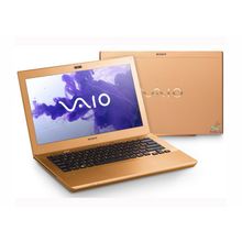 Ноутбук Sony VAIO S13A1Z9R N (SV-S13A1Z9R N)