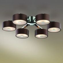 Потолочная люстра Odeon Light Salar 2047 12C