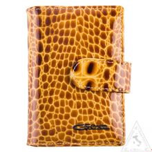 Визитница Giorgio Ferretti 00023-64