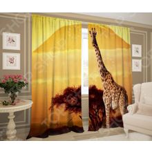 ТамиТекс «Килиманджаро»