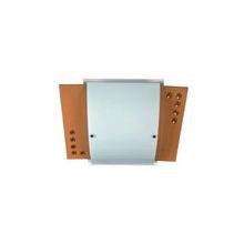 Светильник потолочный Чаша MW-Light 264019404