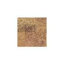 Wicanders O 821  Harmony