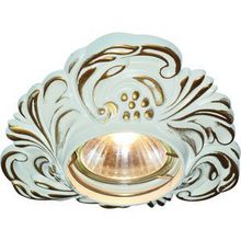 Arte Lamp A5285PL-1SG OCCHIO точечный светильник (встраиваемый)