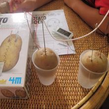 4M Картофельные часы