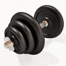 Гантель наборная MB Barbell 19 кг, 25 мм