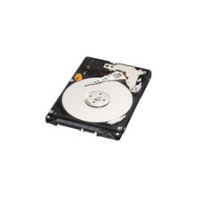 Western Digital WD Scorpio Black [WD3200BEKT]