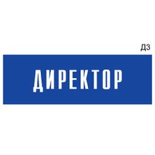 Информационная табличка «Директор» на дверь прямоугольная Д3 (300х100 мм)