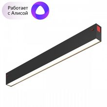 Denkirs Накладной светильник Denkirs DK8004 DK8004-BK ID - 452734