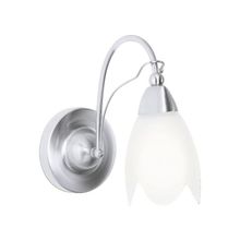 ARTE Lamp A4905AP-1SS, PETAL