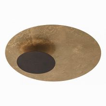 RegenBogen LIFE Галатея 452014001