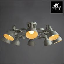 Потолочная люстра Arte Lamp Martin A5216PL-8WG