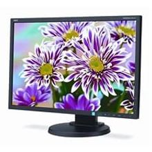 Монитор nec e223w-bk, 22" (1680x1050), tn, vga (d-sub), dvi, dp