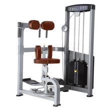 Торс-машина Bronze Gym D-011 (коричневый)