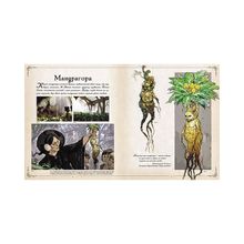 Росмэн Гарри Поттер Фантастические существа