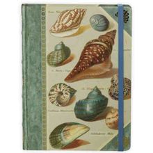 Книга для записей Shells