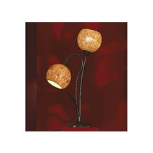 LUSSOLE  Настольная лампа  LSF-6204-02 Lussole