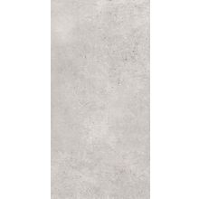 Arcana Tortona Gris R 59.3x119.3 см