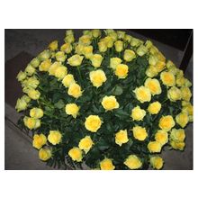 Букет из 101 желтой розы -  70см "Happy yellow love"
