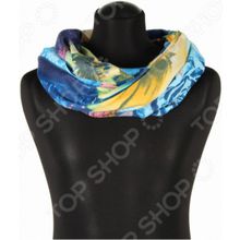 Bona Ventura H-SH.11