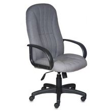 Кресло для руководителя Бюрократ T-898AXSN GR серый TS