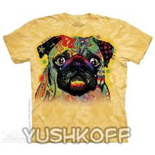 Mountain Colorful Pug