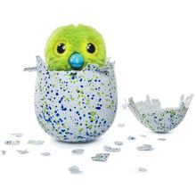 Hatchimals яйцо с сюрпризом Draggles зеленое