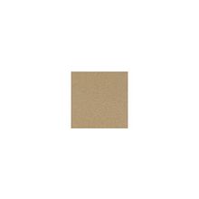 "Шахтинская плитка" (Россия) Техногресс 59,6х59,6 коричневый полированный