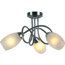 Потолочный светильник Arte Lamp A8616PL-3SS MUTTI