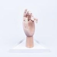 Doiy Органайзер для украшений The Hand белый арт. DYHANDWHI