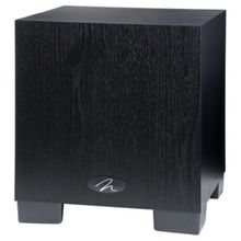 Martin Logan Dynamo 300