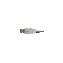 USB дата-кабель для Gembird CC-USB2-AMBM-10