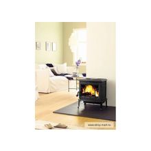 Jotul JOTUL F 100 BP (цвет черный матовый)