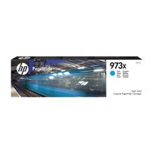 HP F6T81AE №973X