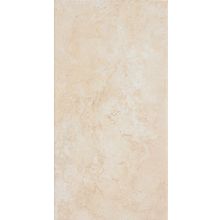 Плитка настенная Saloni Terme Beige 600х310