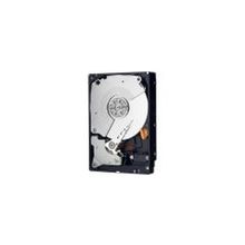 Жесткий диск 500Gb WD Caviar Black WD5003AZEX SATA 6 Gb s, 64 MB Cache, 7200 RPM