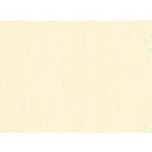 MaxWall 168011-13
